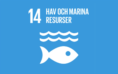 Mål 14_ hav och marina resurser